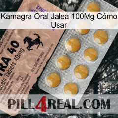 Kamagra Oral Jalea 100Mg Cómo Usar 41